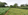 Bank Foreclosed 2,252 sqm Agricultural Farm Lot For Sale Urbiztondo Pangasinan: Good for Retirement