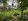 1 hectare Residential Farm For Sale in Samal Island Davao Del Norte