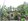 Pre-Owned 2-bedroom Single Detached House For Sale with 786sqm lot area in Samal Davao Del Norte