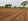 Farm Lot For Sale in Echague Isabela - 20 Hectares