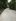 For Sale Lot Only in Sitio Aduas,Brgy. San Jose,Antipolo City Titled 100sqm. 650T Dp190T 12T/mo.3yrs