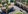 204 sqm Residential Lot For Sale in Tanza Cavite