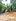 RESIDENTIAL LOT ALONG ROAD ANTIPOLO