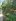 2,362 sqm Farm Lot For Sale in Davao City