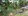3.7 hectares Farm Lot For Sale in Socorro Oriental Mindoro