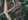 2.87 hectares Farm Lot For Sale Bamban Tarlac near Clark Freeport Zone