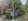 100 sqm residential lot for sale by owner in Pozurrubio Pangasinan