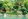 Pre-Owned 2,215 sqm Beach Property For Sale in Puerto Galera Oriental Mindoro