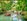 For Sale: Residential Farm Lot | Candelaria, Quezon