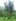 2 hectares Farm Lot For Sale in Gloria Oriental Mindoro