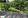 FARM LOT FOR SALE  SAN PABLO CITY !