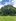 Farmlot for Sale!! with Mango Trees