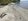 Beach Property with Farm Lot
