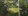 6,091 sqm Farm Lot For Sale in Dauis Bohol