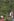 White Sand Beach Lot with complete clean title