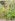 Lot For Sale in Baao Camarines Sur