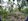 1,650 sqm lot for sale in Toril Babak Samal island, Davao