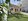 Ready For Occupancy 3-bedroom Single Detached House For Sale in Liloan Cebu