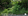 177 sqm Commercial Lot for Sale along PUV Route  Minuyan III, San Jose del Monte, Bulacan
