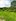 Agricultural 91.7 hectares Farm Lot For Sale in Floridablanca Pampanga