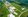 Agricultural & Commercial Lot for Sale in Cauayan Isabela | 30,000 sqm Prime Investment Land