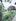 Titled 1.7 Hectares Farmlot in Argao