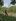 2,305 sqm Raw Land For Sale in Jalajala Rizal