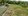 Residential Farm land along Brgy cemented Road