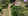 Spacious 1000 SQM Lot with Two Houses in Maco, Near Tagum City