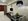 RUSH SALE: 31.50 sqm Studio Condo in Newport City Pasay near NAIA T3 - Clean Title