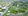 Commercial Lots for Sale @ Eagle Ridge Commercial Center along Amadeo Road near CALAX & Tagaytay