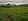 100000 sqm Agricultural Farm land for Sale in Mabini Pangasinan