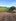 40000 sqm Agricultural Farm For Sale in Anao Tarlac