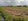 2.48 hectares Agricultural Farm For Sale in Pili Camarines Sur