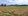 1.4 hectares Agricultural Farm For Sale in Cuyapo Nueva Ecija