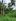 1.34 hectares Farm Lot for Sale in Asturias, Cebu