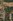 Clean Titled Residential/Farm Lot FOR SALE in a Flood Free Area at Vigan City, Ilocos Sur