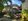 Clean Titled House and Lot FOR SALE in a Flood Free Area at Paniqui, Tarlac