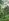 9 hectares Farm Lot For Sale in Montevista Davao De Oro Compostela Valley