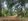 100 sqm Residential Lot For Sale in Silang Cavite near in Tagaytay