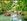 500 sqm Farm Lot For Sale in Tayabas Quezon
