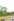 4,872 sqm Farm Lot For Sale in Tacloban Leyte
