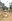 Lot for Sale Jiboren Ville Subd. Marasbaras,Tacloban City