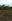 Newly Subdivided Lots for Sale in Pinamungahan, South Cebu