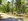 Titled Lot for Sale in Rizal, Pinamungajan South Cebu