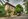 Mediterranean Style House and Lot with 4 Bedrooms and Pool Provision