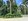 Farm lot-Farmland for sale in Alfonso Cavite