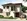Hillcrest Estates Nuvali | High-End Residential Property Near Tagaytay