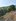 250 sqm Residential Farm For Sale in Brgy. Sampaloc,Tanay Rizal 1.5M dp445T 29T/mo3yrs 09759663299