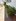House and Lot for sale in Philam Homes Quezon City
